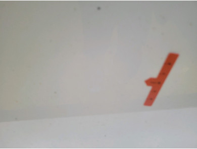 Right front door - Dacia SANDERO I - Blanc - 801006248R - Q1-4913N
