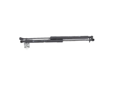 Trunk gas spring (x2) used - Renault CLIO - 844308661R