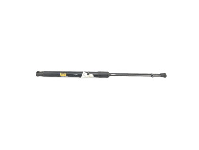 Paire verins coffre hayon malle - Renault MEGANE IV PH.2 - Blanc - 904515874R - K1-2925S
