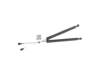 Trunk gas spring (x2) - Renault CLIO III PH.2 - Bleu Fonce - 8200299546 - G0-0386N