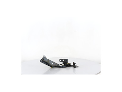 Hood hinges - Citroen C4 PICASSO I - Gris Fonce - 00007912A2 - K1-3950B