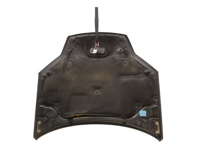 Hood (Bonnet) - Renault LAGUNA III PH.1 - Noir - 651000021R - W0-7364F