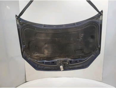 Hood (Bonnet) - Volkswagen POLO IV PH.2 - 6Q0823031J - J1-1540X