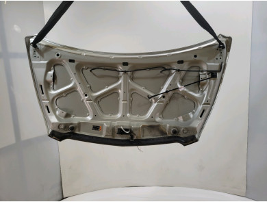 Hood (Bonnet) - Chevrolet SPARK PH.2 - Gris Clair - 42746472 - A0-6435C