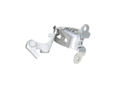 Door hinge rear left