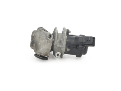 EGR valve - Citroen C3 II PH.1 - 00001618PF - X1-2190R
