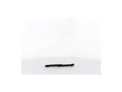 Verins capot - Renault SCENIC III PH.2 - Noir - 654700008R - B1-0626H