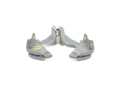 Hood hinges - KIA PRO CEED III - Gris Clair - 66910J7000 - F1-2765W