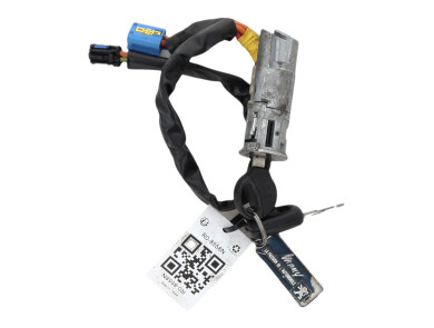 Steering lock - Peugeot 206 SW - 4162Z1 - R0-8558N
