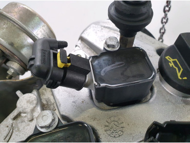 Engine type 955A8000 - Fiat PUNTO EVO ABART - I1-9918B