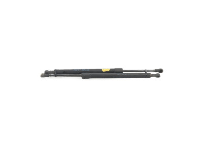 Paire verins coffre hayon malle - BMW SERIE 3 V PH.1 - Gris Clair - 51247250308 - H0-0806E