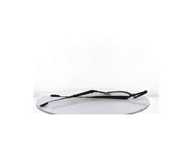 Front wiper arms (x2) - Renault SCENIC II PH.2 - 7701062073 - V1-8975W