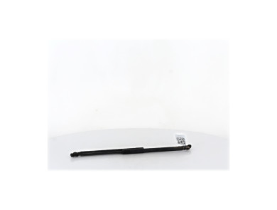 Trunk gas spring (x2) - Audi A3 II PH.1 - Gris Fonce - 8P3827552E - K0-8717K
