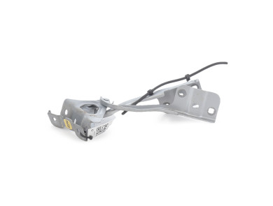 Hood hinges - Renault CLIO V PH.1 - Gris Clair - 654019850R - F0-4968P