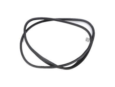 Door seal front left