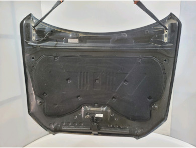 Hood (Bonnet) - Audi Q5 I PH.1 - Noir - 8R0823029 - E2-0063M