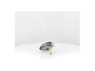Fuel door - Renault CLIO II PH.2 - Blanc - 7700836756 - C1-8091K