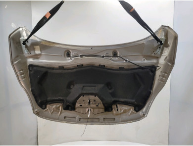 Capot - Ford C-MAX II PH.1 - Gris Clair - 1815874 - F1-8481V