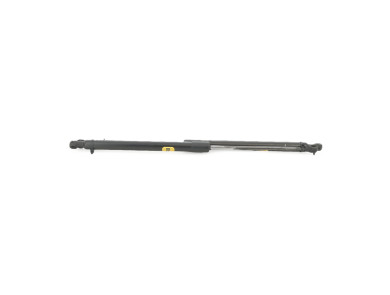 Trunk gas spring (x2) - Citroen C4 III PH.1 - 9831083780 - M0-8460N