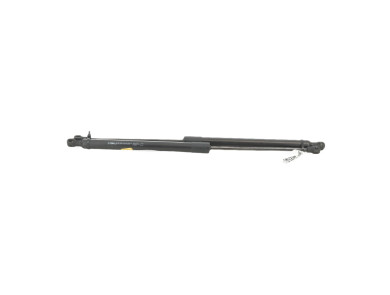 Trunk gas spring (x2) - Citroen C4 III PH.1 - 9831083780 - M0-8460N