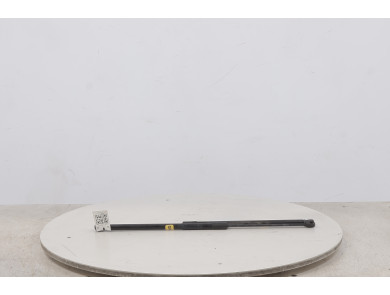 Trunk gas spring (x2) - KIA PRO CEED III - Gris Clair - 81780J7700 - W1-2946H