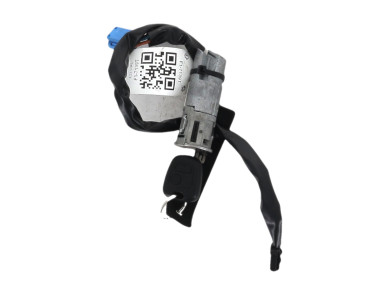 Steering lock - Peugeot 206 - 4162Z1 - F1-7139T