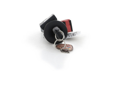 Neiman (barillet clé) - Renault CLIO III PH.1 - 7701208408 - C1-7391C