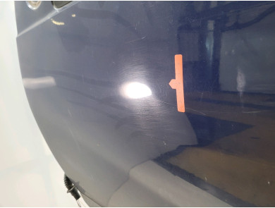 Left front door - Dacia SANDERO I - Bleu Fonce - 801011499R - W1-2821Z