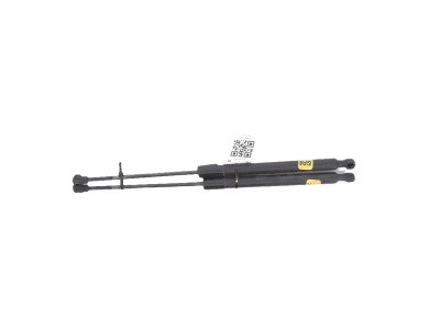 Paire verins coffre hayon malle - Renault CAPTUR I PH.1 - Noir - 844309373R - V1-0949X