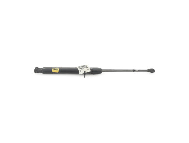 Trunk gas spring (x2) - Renault CAPTUR I PH.1 - Noir - 844309373R - V1-0949X