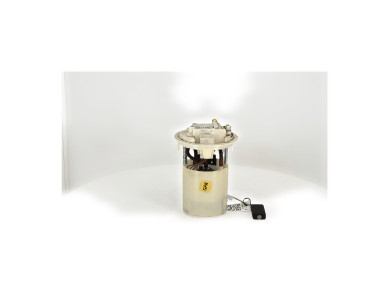 Fuel pump - Peugeot 207 - 1607401980 - R0-9678V