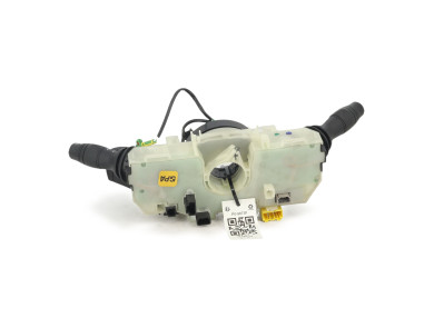 Commodo monobloc - Renault SCENIC III PH.3 - 255670017R - P0-9873F