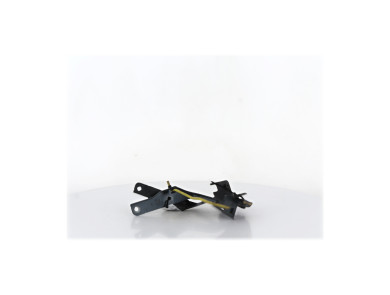 Hood hinges - Citroen C4 PICASSO I - Gris Fonce - 00007912A2 - Q1-6855T