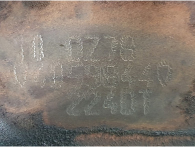 Engine type BG9Q6006BA - Land Rover RANGE ROVER I PH.1 - N1-2817I