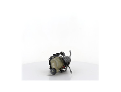 Power steering pump - Dacia SANDERO II PH.1 - 491101292R - V1-1991Q