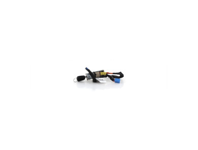 Steering lock - Peugeot 206 - 4162Z1 - E1-5991X