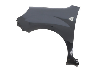 Left front fender - Renault KANGOO II PH.1 - Noir - 631011587R - P1-2705L