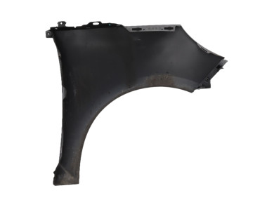Left front fender - Renault SCENIC III PH.2 - Gris Fonce - 631010188R - X1-5312R