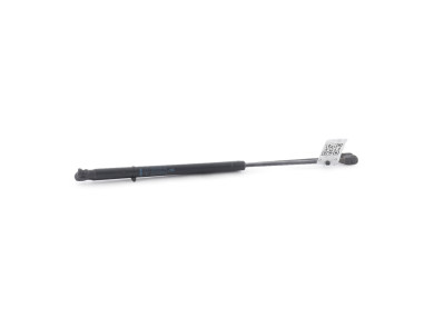 Paire verins coffre hayon malle - Renault SCENIC II PH.1 - Bleu Clair - 8200484676 - G1-1122T