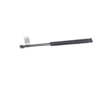 Trunk gas spring (x2) - Renault SCENIC II PH.1 - Bleu Clair - 8200484676 - G1-1122T