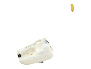 Bocal lave glace - Renault SCENIC II PH.1 - 7701207666 - U1-8743X
