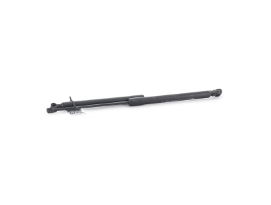 Trunk gas spring (x2) - Renault CAPTUR I PH.1 - Beige Clair - 844309373R - S0-8172V
