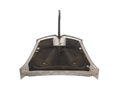Hood (Bonnet) - Citroen C4 PICASSO I - Gris Clair - 00007901N7 - C1-0052W