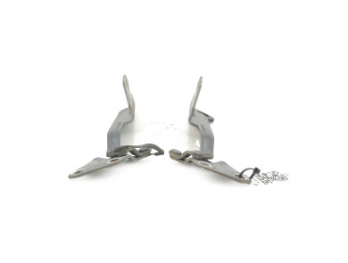 Hood hinges - Citroen XSARA PICASSO - Gris Clair - 0000791259 - S1-3076V