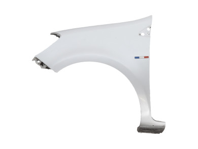 Left front fender - Renault CLIO III PH.2 - Gris Clair - 631014270R - F1-5263W