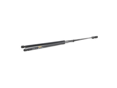 Trunk gas spring (x2) - Citroen C4 PICASSO I - Gris Clair - 00008731T0 - H1-5533J