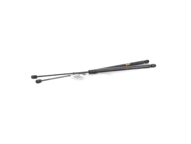 Trunk gas spring (x2) - Citroen C4 PICASSO I - Gris Clair - 00008731T0 - H1-5533J