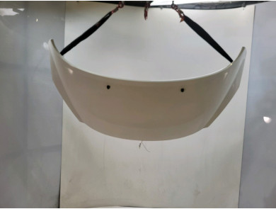 Hood (Bonnet) - Peugeot 207 - Blanc - 7901N2 - Z1-1989P
