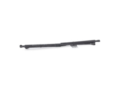 Trunk gas spring (x2) - Renault CAPTUR I PH.1 - Gris Clair - 844309373R - T1-0875I