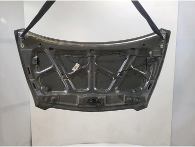 Capot - Chevrolet SPARK PH.2 - Gris Clair - 42746472 - A0-9874H